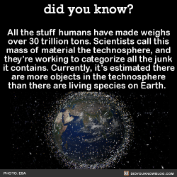 ri-science: did-you-kno: All the stuff humans have made weighs