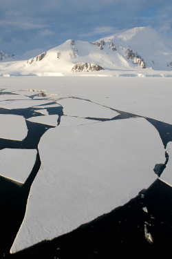 luxuryera:  The “Fast” Ice of Antarctica | Source 