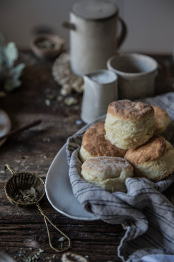 breadandolives:  Flaky + Fluffy Buttermilk Biscuits from Scratch