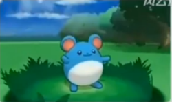 dydney: NEW POKEMON CONFIRMED FOR XY!!!!!!!!!!!!! NO NAMES AS