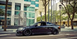 jayrice11:  Beautiful Dc5