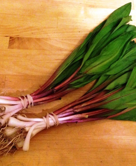 Quinoa Risotto with Ramps & Bacon