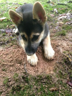 lifebender:  I digged a hole, mom.