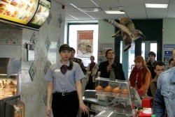 tibets:  here is a cat that was thrown in burger king