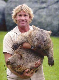 awwww-cute:  Today is Steve Irwin day! Here’s him holding a