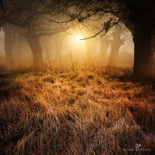rosiesdreams:  In the light of day.  By alvar_astulez