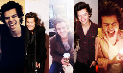 darnstyles:  3/3 of many photos of Harry Styles 