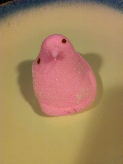 deadmenanddior:  So my bf found the Peep version of Gia Gunn…