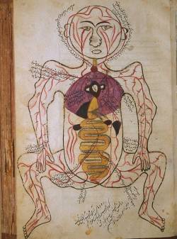 mucholderthen:  Persian Anatomical Illustrations, ca. 1390from Mansur’s