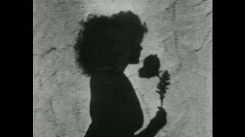 Meshes of the afternoon - Directed by Maya Deren (1943) Nudes
