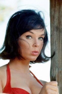 billyhopkinson:Yvonne Craig