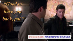 myblueeyedcas:  Destiel subtext + did you mean… 