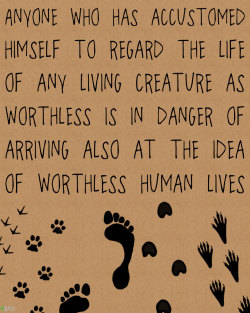 vbasement:  Quote from Albert Schweitzer, a German-born theologian,