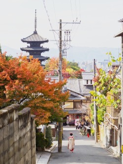  a fine day of Kyoto (+) 