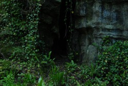 riverplants:  