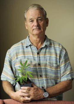 fuckyeahdrugpolicy:  September 21, 1970 Bill Murray celebrated