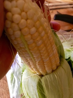 Corn on the cob :). Rip your life open 😁