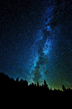 0rient-express:  Milky Way as seen from Yosemite | by Sapna