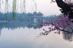 fuckyeahchinesegarden:  The Lotus Bridge at Slender West Lake,