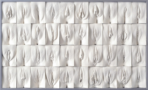 rikkisixx:  The Great Wall of Vagina - Jamie McCartney (x) Jamie made molds of the vaginas of women between 18 and 76 years. Among others, they include twins and transgender women. Women are often confused about their vagina, because they think it looks