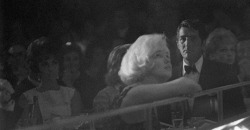 sddubs:  Marilyn Monroe, Dean Martin, and Elizabeth Taylor in