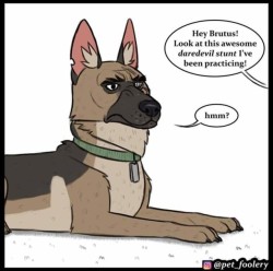 injuries-in-dust:  Support Pet Foolery on Patreon for ũ and