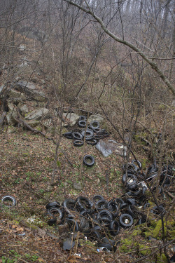 tonsofland:near hiltons, virginia.