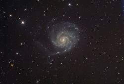 spacettf:  M101 Pinwheel Galaxy 9.33 hours by Terry Hancock www.downunderobservatory.com