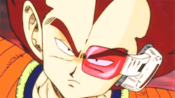 Tenkaichi Budokai