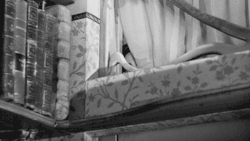 nitratediva:  From Love in the Afternoon (1957). 