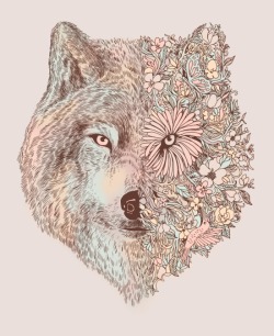 1000drawings:   A Wild Life   by Norman Duenas  
