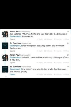 funniestpicturesdaily:  Aaron Paul and Bo Burnham interaction