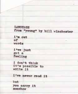 brightlightsloudnoises:  “language” from “young”