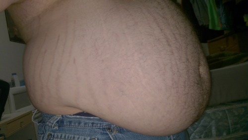 fatfoxinch:  Slowly growing larger.  Lovely proportions