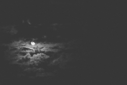Dreamer