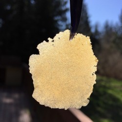 weedporndaily:  This is some lime cookies I pressed out from