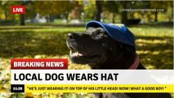 blupoop:  verychillgodbless:  Thats a Pitt hat, good job dog