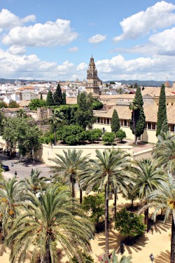 travelingcolors:  Córdoba from the Alcázar | Spain (by Nacho