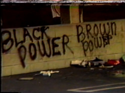 deadcops:  Black Power Brown Power 