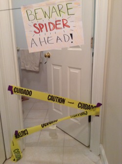 samandriel:  I don’t know how other people handle spiders but…