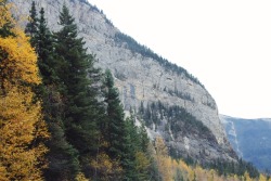 matchbox-mouse:  Autumn in the Canadian Rockies. Alberta, Canada.