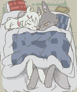 s1120411:  sleep together 