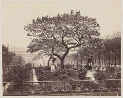 artgalleryofontario:  Palais Royal Gardens, Paris, c. 1880Francis
