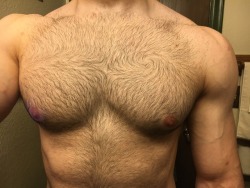 craggs13: lifewithasideofbacon: Chest pattern on point i mean