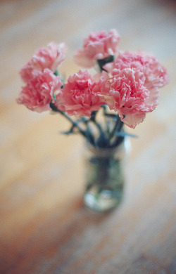 floralls:  (via Untitled | Flickr - Photo Sharing!) 