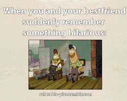 The Absolute Funniest Posts On Tumblr