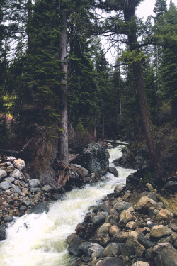 northwezt:  McCall, Idaho (May 18, 2014)