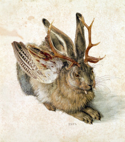 cryptids-of-the-world:  The Wolpertinger is a rabbit-like creature