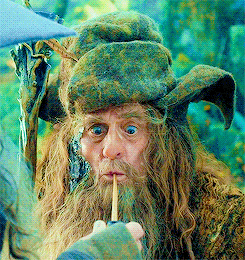 the-view-from-my-soul:  thrcnduils:Radagast the Brown (ﾉ⊙‿⊙)ﾉ 
