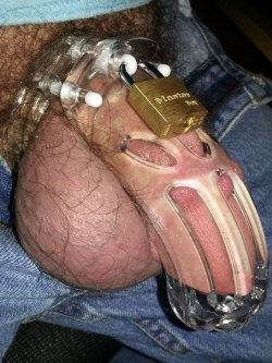 lockedanddeniedcub:  Trying a new cage this week.  Locked up